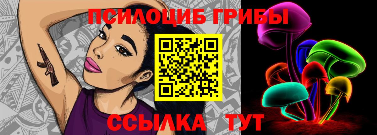 Уссурийск  Галлюциногенные грибы Psilocybe  Вход с VPN 